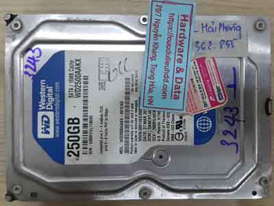25-3-Western-250GB