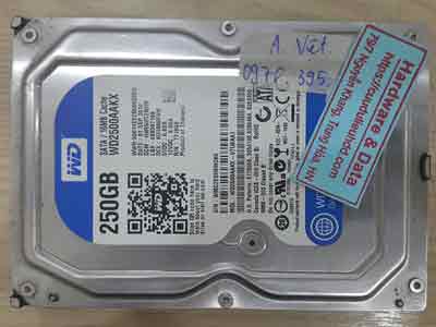 30-3-Western-250GB