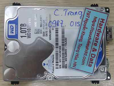 12197-Western-1TB