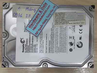12245-Seagate-320GB
