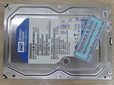 12564-Western-500GB