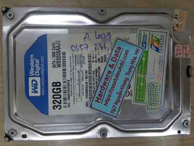 12931-Western-320GB