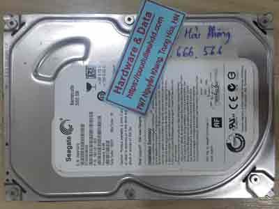 24-8-Seagate-500GB