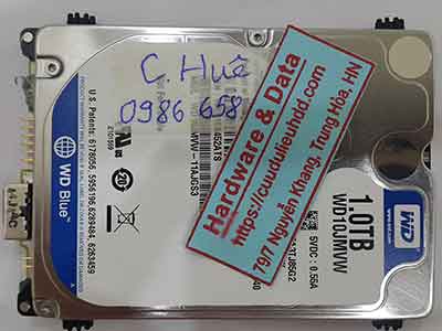 13537---WD10JMVW