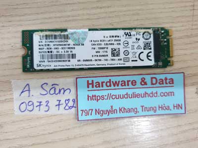 15499----SSD-NVMe-256G