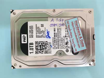 15623---WD1003FZEX