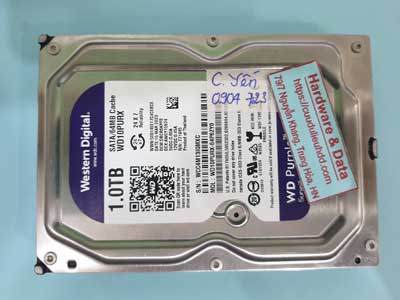 240522---WD10PURX