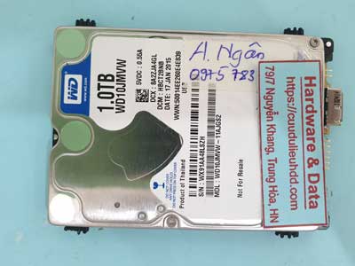 15864---WD10JMVW