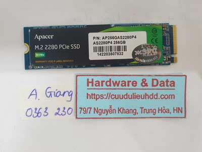 15891---SSD-NVMe-256G