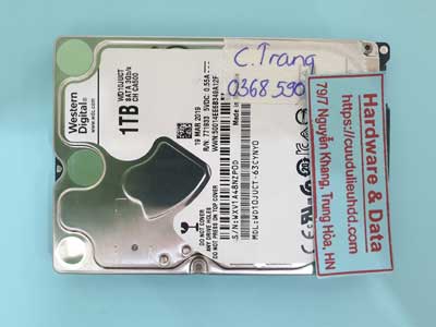 15903---WD10JUCT