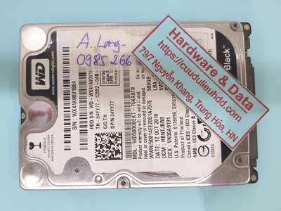 240923---WD5000BEKT