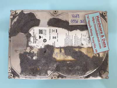 240926---ST500DM002