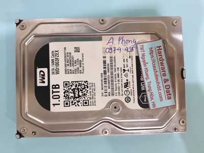 16043---WD1003F2FX