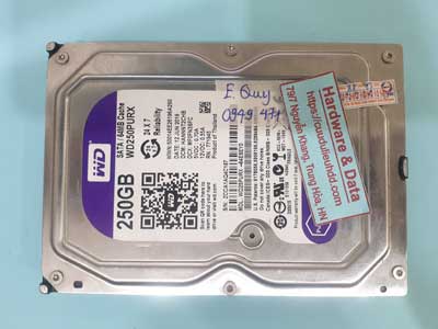 16071---WD250PURX