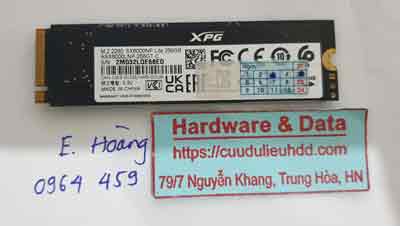 16212---SSD256G