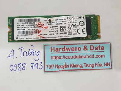 16352---SSD-256G-NVMe-SK-hynix