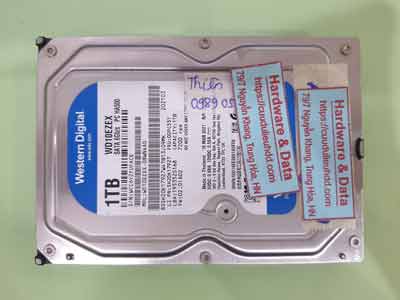 250318---WD10EZEX