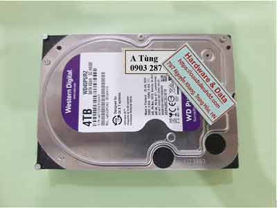 16389---WD40PURZ