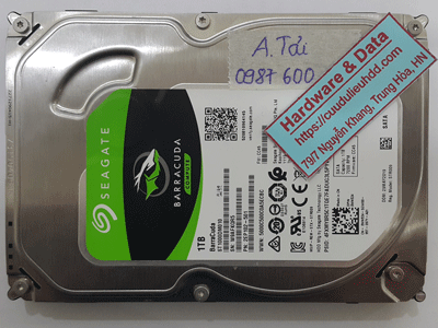 14556---ST1000DM010