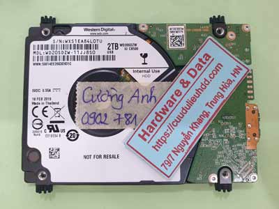 16546---WD20SDZW