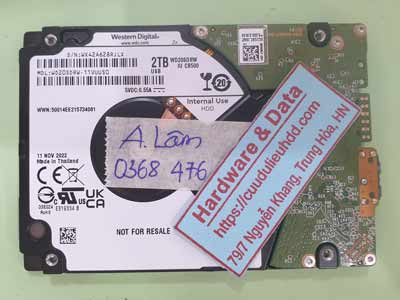 16768---WD20SDRW