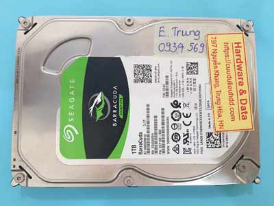 16925---ST1000DM010