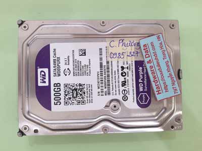 250723---WD05PURX