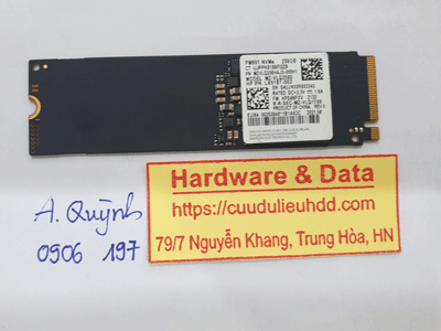 260129---SSD-256G-NVMe