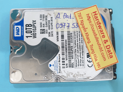 16920---WD10JPVX