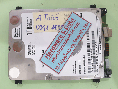 260123---WD10SDZM
