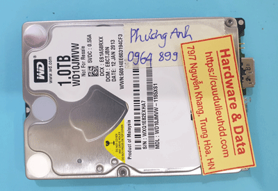 17005---WD10JMVW