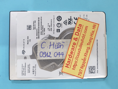 17065---ST1000LM035