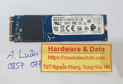 17126---SSD-256g-NVMe