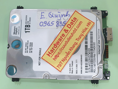 17255---WD10SDRW