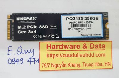 17262---SSD-256G-Kingmax